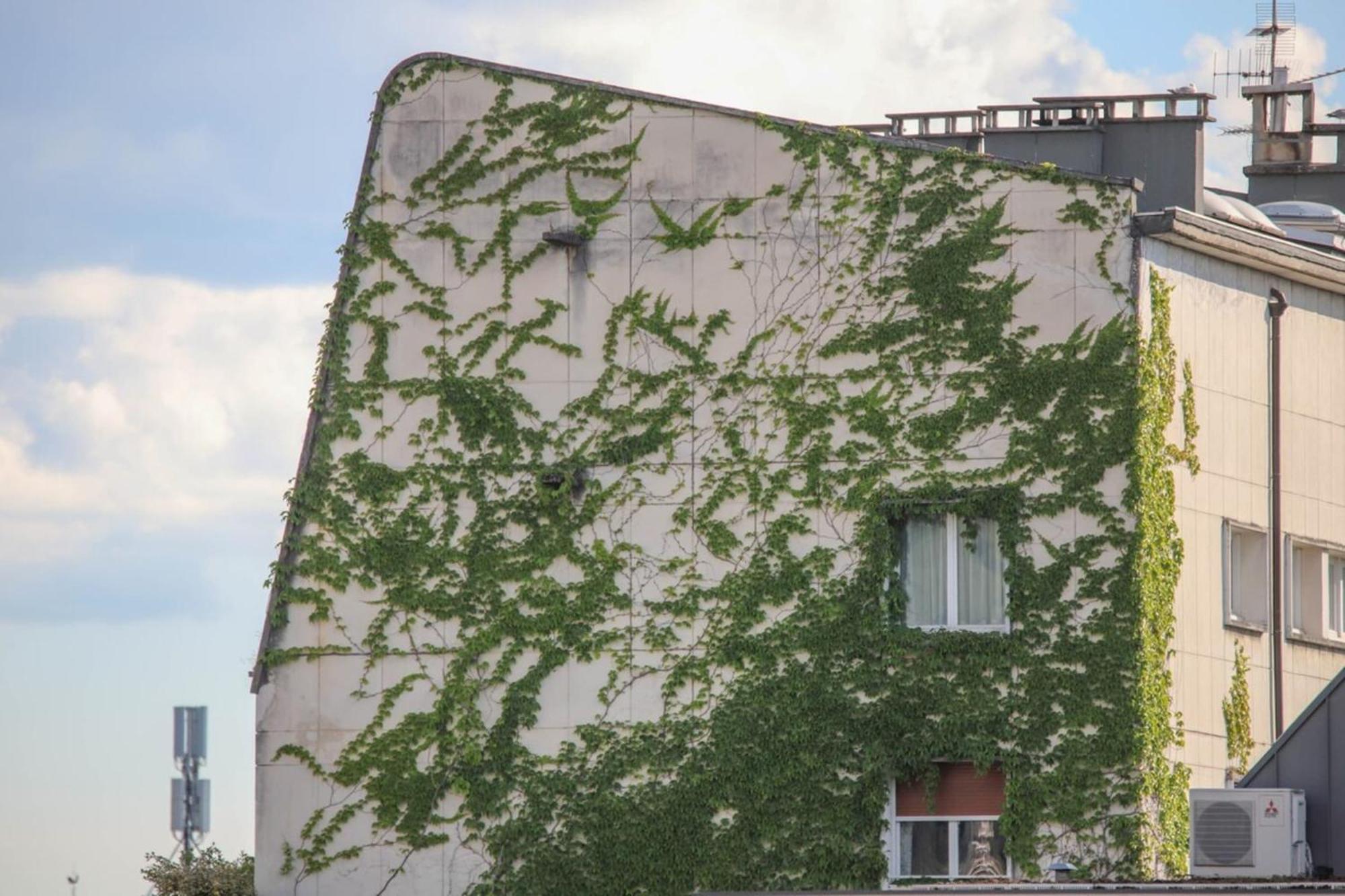 La Pause annécienne, appartement familial. Annecy Extérieur photo
